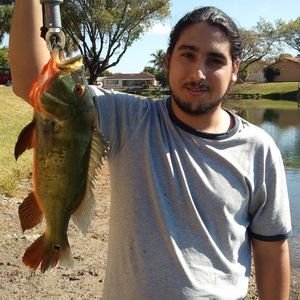 Meet your Posher, Luis